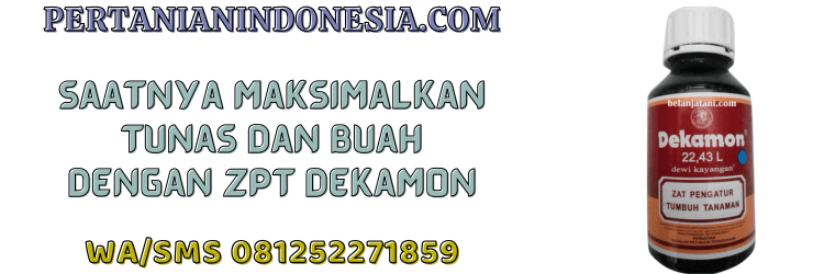 jual,murah,terjangkau,toko pertanian terdekat,pertanian indonesia